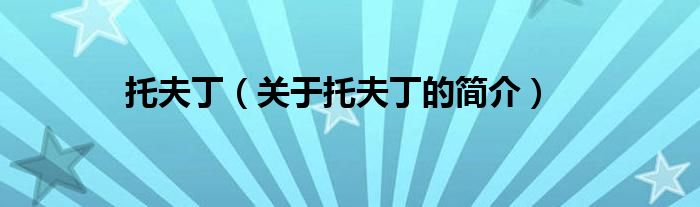 托夫丁（關(guān)于托夫丁的簡(jiǎn)介）