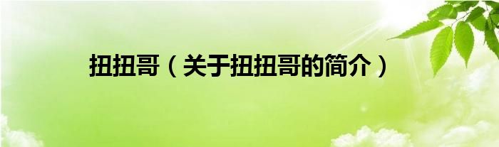 扭扭哥（關(guān)于扭扭哥的簡介）