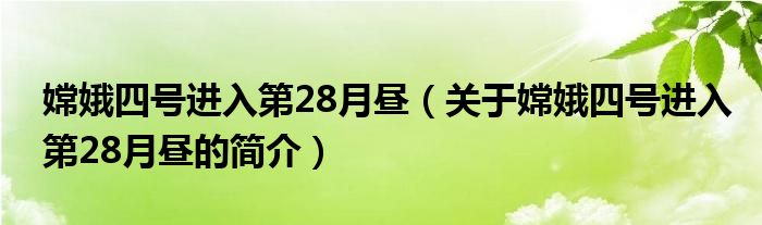 嫦娥四號(hào)進(jìn)入第28月晝（關(guān)于嫦娥四號(hào)進(jìn)入第28月晝的簡介）