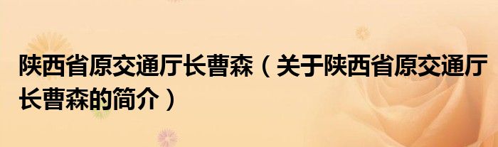 陜西省原交通廳長曹森（關于陜西省原交通廳長曹森的簡介）