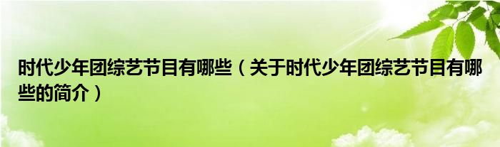 時(shí)代少年團(tuán)綜藝節(jié)目有哪些（關(guān)于時(shí)代少年團(tuán)綜藝節(jié)目有哪些的簡(jiǎn)介）