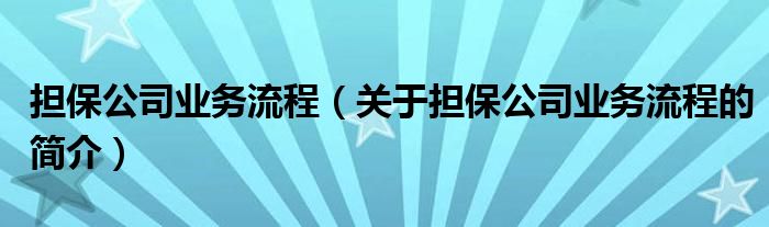 擔保公司業(yè)務流程（關(guān)于擔保公司業(yè)務流程的簡介）