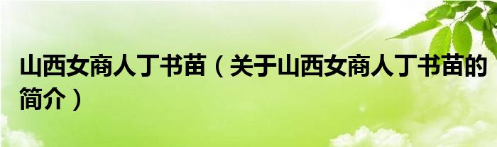 山西女商人丁書苗（關(guān)于山西女商人丁書苗的簡介）