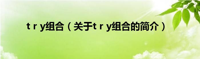 t r y組合（關(guān)于t r y組合的簡(jiǎn)介）