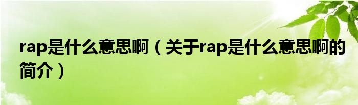 rap是什么意思?。P(guān)于rap是什么意思啊的簡介）