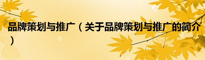 品牌策劃與推廣（關(guān)于品牌策劃與推廣的簡(jiǎn)介）