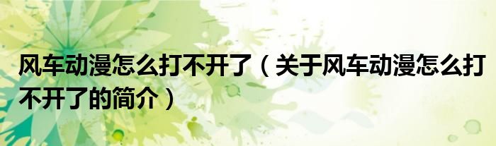 風車動漫怎么打不開了（關(guān)于風車動漫怎么打不開了的簡介）