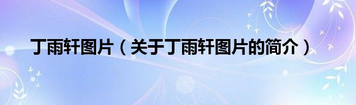 丁雨軒圖片（關(guān)于丁雨軒圖片的簡(jiǎn)介）