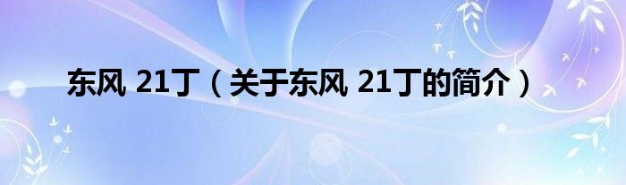 東風 21?。P于東風 21丁的簡介）