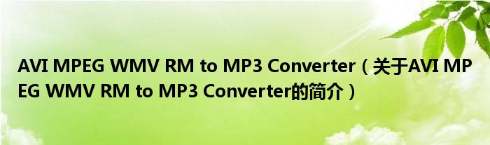 AVI MPEG WMV RM to MP3 Converter（關(guān)于AVI MPEG WMV RM to MP3 Converter的簡(jiǎn)介）