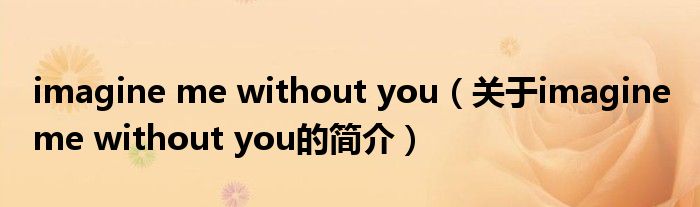 imagine me without you（關(guān)于imagine me without you的簡(jiǎn)介）