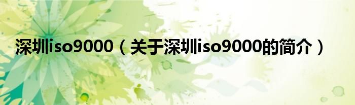 深圳iso9000（關(guān)于深圳iso9000的簡(jiǎn)介）