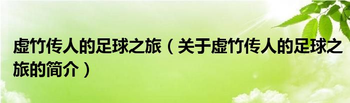 虛竹傳人的足球之旅（關于虛竹傳人的足球之旅的簡介）