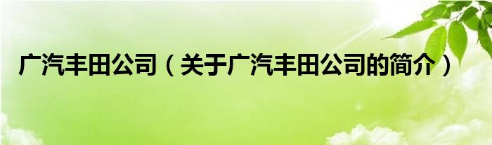 廣汽豐田公司（關于廣汽豐田公司的簡介）