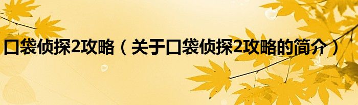 口袋偵探2攻略（關(guān)于口袋偵探2攻略的簡(jiǎn)介）