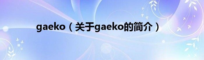 gaeko（關(guān)于gaeko的簡介）