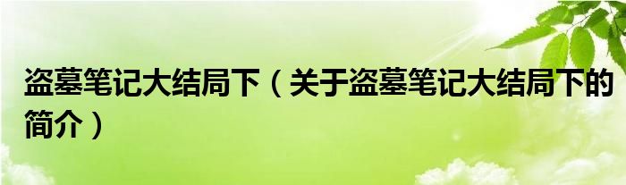 盜墓筆記大結(jié)局下（關(guān)于盜墓筆記大結(jié)局下的簡介）