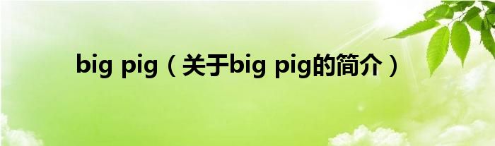 big pig（關(guān)于big pig的簡(jiǎn)介）