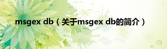 msgex db（關于msgex db的簡介）