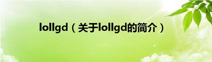 lollgd（關(guān)于lollgd的簡介）