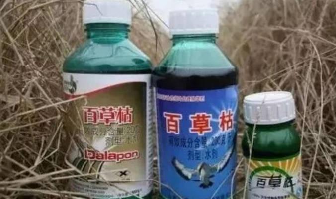 喝了百草枯，真的沒救了嗎？
