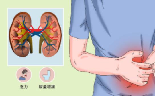 腎衰竭是什么原因引起的？