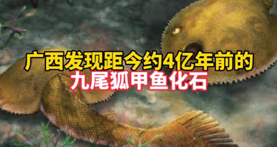 發(fā)現(xiàn)新屬種九尾狐甲魚，揭開盔甲魚類尾鰭的神秘面紗