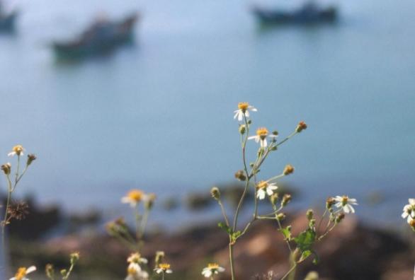 探秘漁山列島：享受浪漫海島風(fēng)光與自然之美