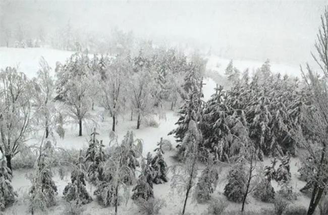 內(nèi)蒙古多倫縣突降大雪，交通受阻學校停課，氣象部門發(fā)布結(jié)冰預(yù)警